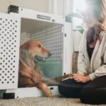 A woman and a golden retriever bonding next to a dog crate in a cozy living room setting.