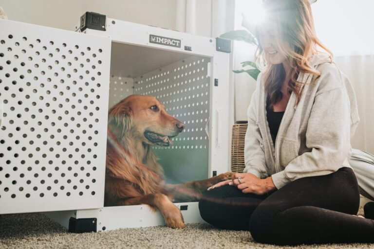A woman and a golden retriever bonding next to a dog crate in a cozy living room setting.